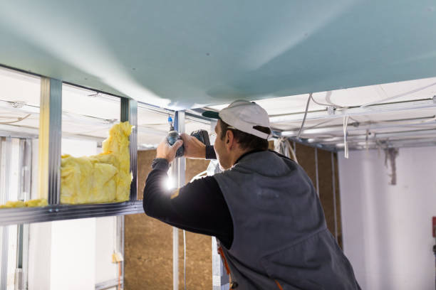 Best Types of Insulation in Macon, IL